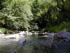 arsilagne