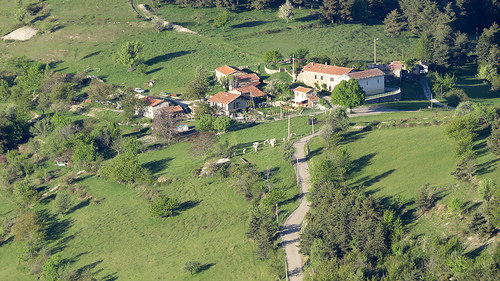 la madone